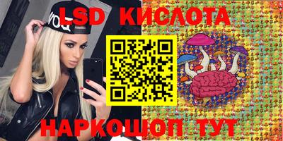 шишки Пенза