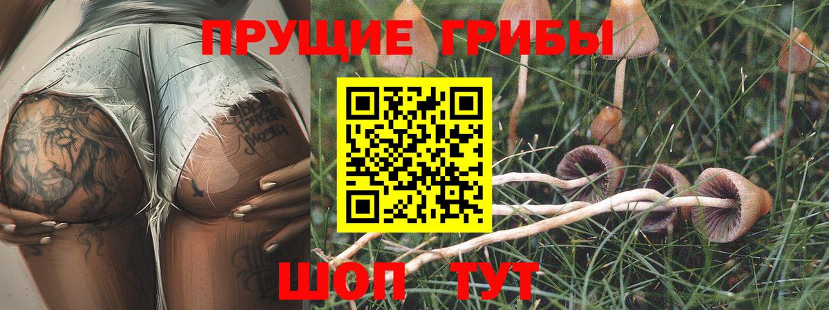 Псилоцибиновые грибы ЛСД Сосновоборск
