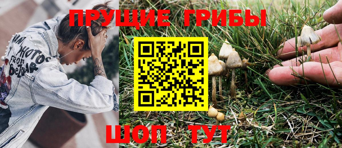 Галлюциногенные грибы Psilocybine cubensis  Вход с VPN  наркота  Сосновоборск 